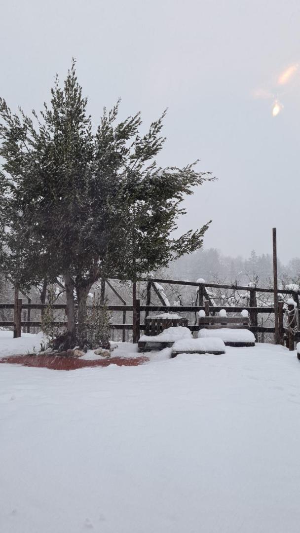 "Il Casaletto" Agriturismo Moderno, Vista Panoramica E Cibo Spettacolare- Scurcola Marsicana Exterior photo